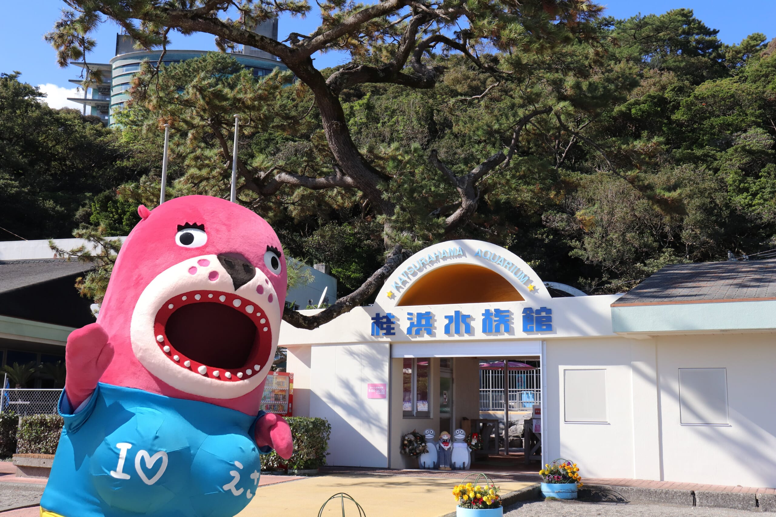 桂浜水族館